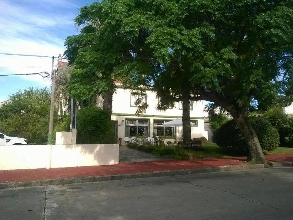 Hotel Puerto Las Palmas Пунта дел Есте Екстериор снимка