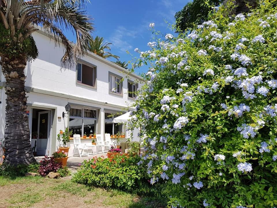 Hotel Puerto Las Palmas Пунта дел Есте Екстериор снимка